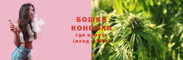 винт Горно-Алтайск