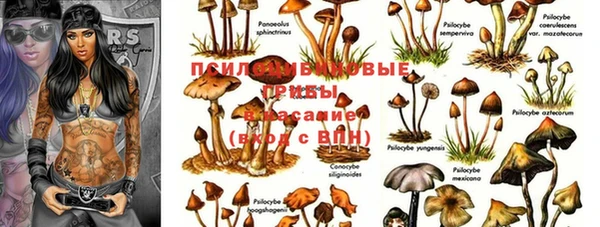 COCAINE Вязники