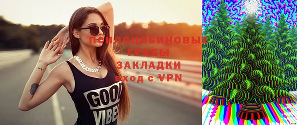 винт Горно-Алтайск