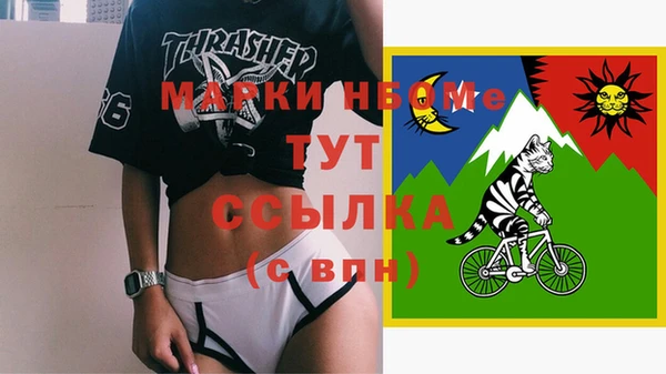 молекула духа Горняк