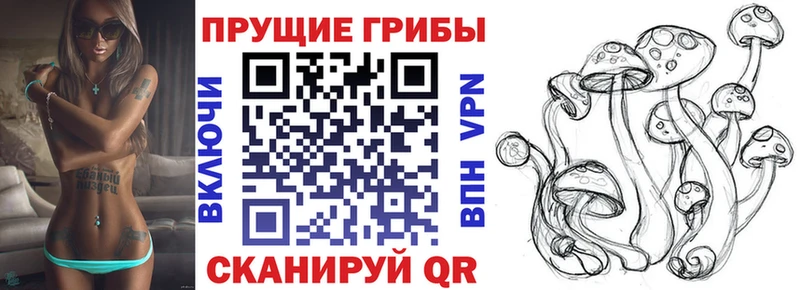 Галлюциногенные грибы GOLDEN TEACHER  дарнет шоп  kraken ссылки  Гусев 